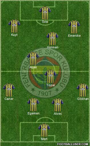 Fenerbahçe SK Formation 2013