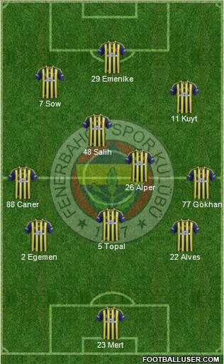 Fenerbahçe SK Formation 2013