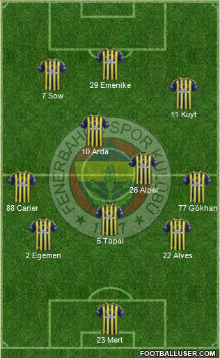 Fenerbahçe SK Formation 2013
