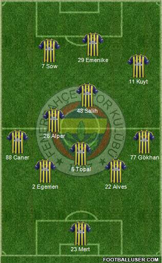 Fenerbahçe SK Formation 2013