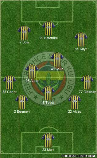Fenerbahçe SK Formation 2013