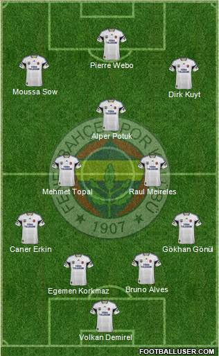 Fenerbahçe SK Formation 2013