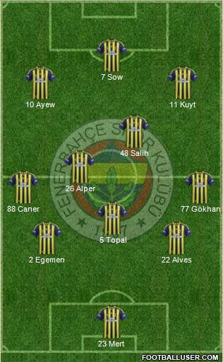 Fenerbahçe SK Formation 2013