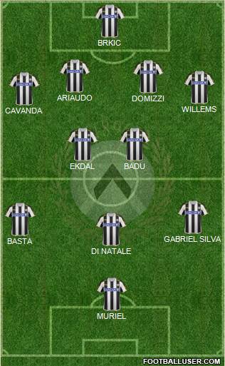 Udinese Formation 2013