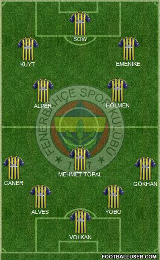 Fenerbahçe SK Formation 2013