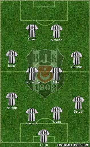 Besiktas JK Formation 2013