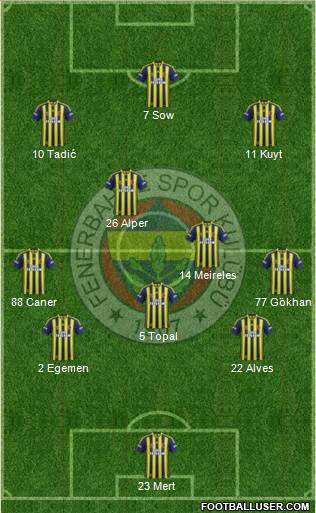 Fenerbahçe SK Formation 2013