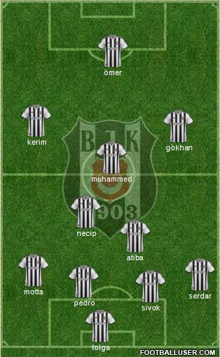 Besiktas JK Formation 2013