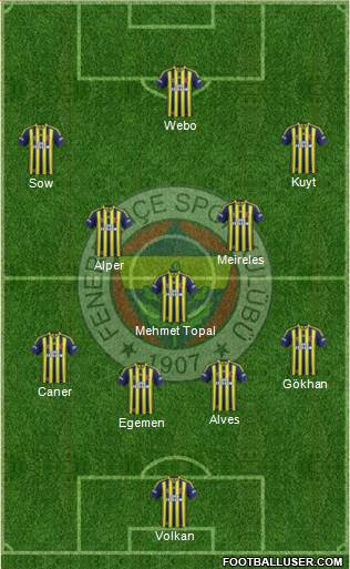 Fenerbahçe SK Formation 2013