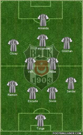 Besiktas JK Formation 2013