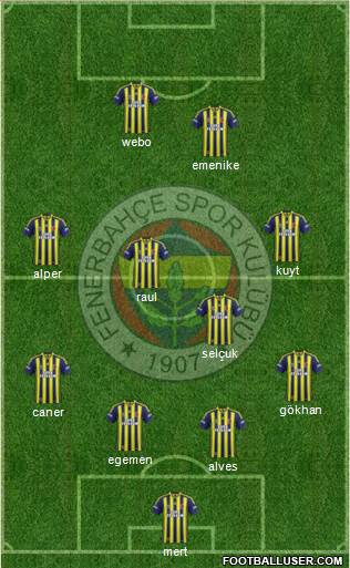 Fenerbahçe SK Formation 2013