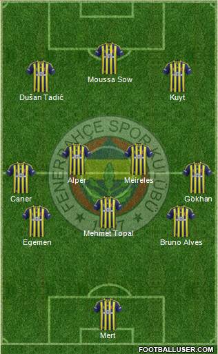 Fenerbahçe SK Formation 2013