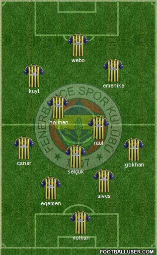 Fenerbahçe SK Formation 2013
