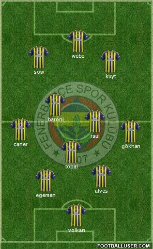 Fenerbahçe SK Formation 2013