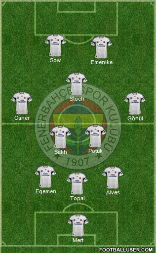 Fenerbahçe SK Formation 2013