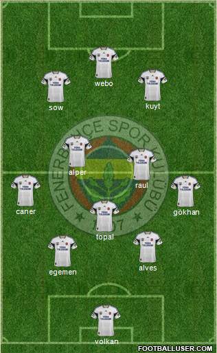 Fenerbahçe SK Formation 2013