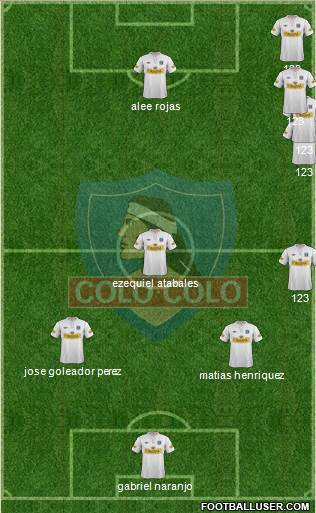 CSD Colo Colo Formation 2013