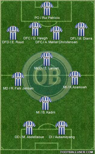 Odense Boldklub Formation 2013