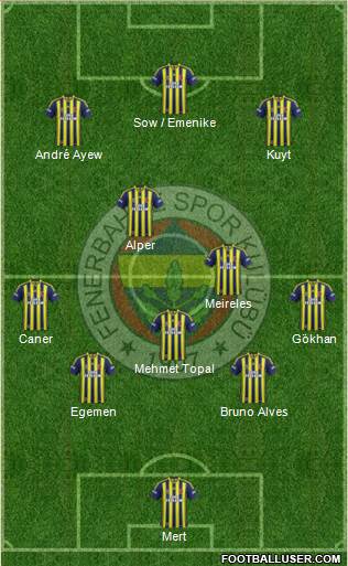 Fenerbahçe SK Formation 2013