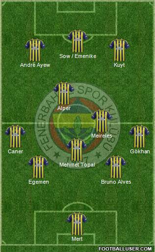 Fenerbahçe SK Formation 2013