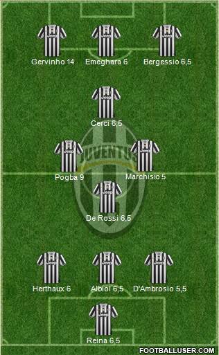 Juventus Formation 2013