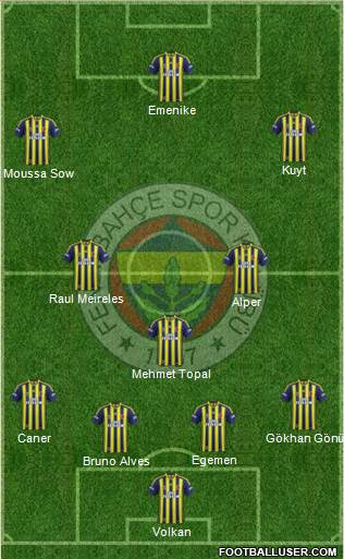 Fenerbahçe SK Formation 2013