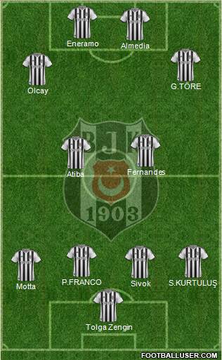 Besiktas JK Formation 2013