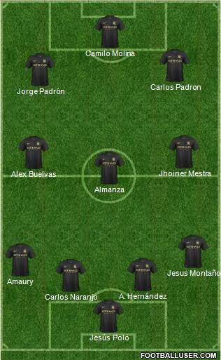 Manchester City Formation 2013