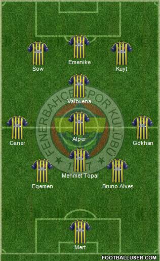 Fenerbahçe SK Formation 2013