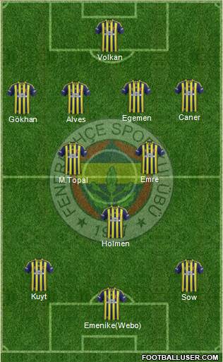 Fenerbahçe SK Formation 2013