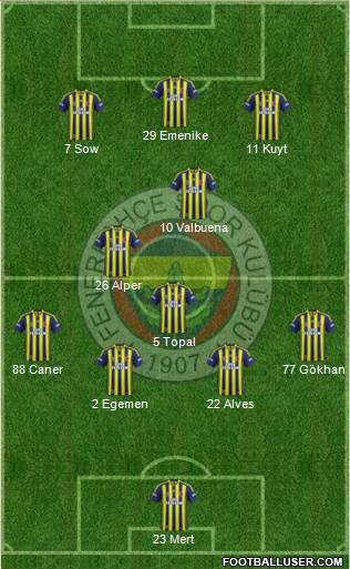 Fenerbahçe SK Formation 2013
