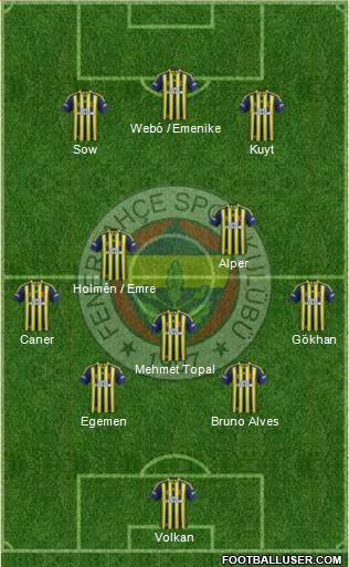 Fenerbahçe SK Formation 2013