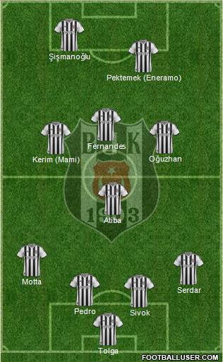 Besiktas JK Formation 2013
