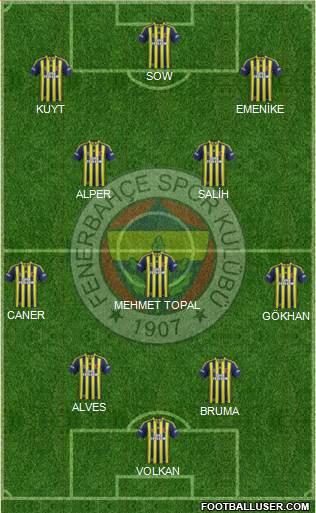 Fenerbahçe SK Formation 2013