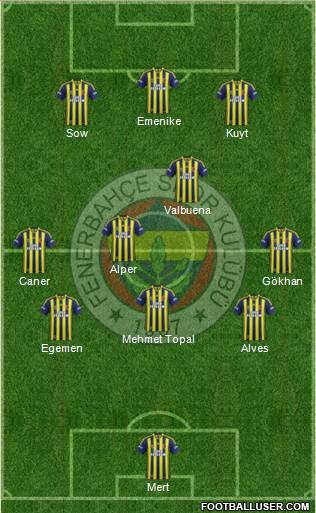 Fenerbahçe SK Formation 2013