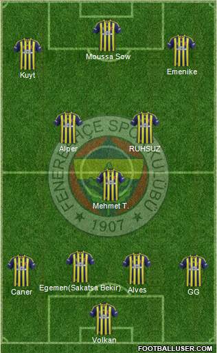 Fenerbahçe SK Formation 2013
