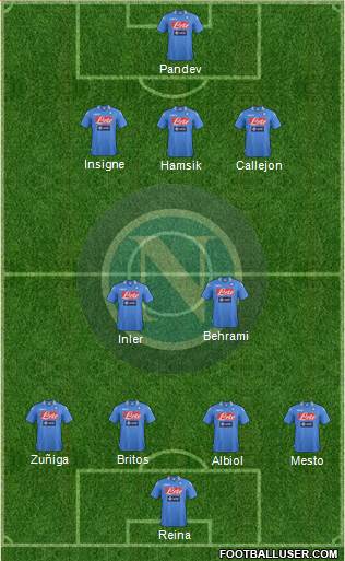 Napoli Formation 2013