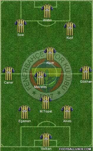 Fenerbahçe SK Formation 2013