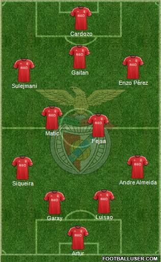 Sport Lisboa e Benfica - SAD Formation 2013