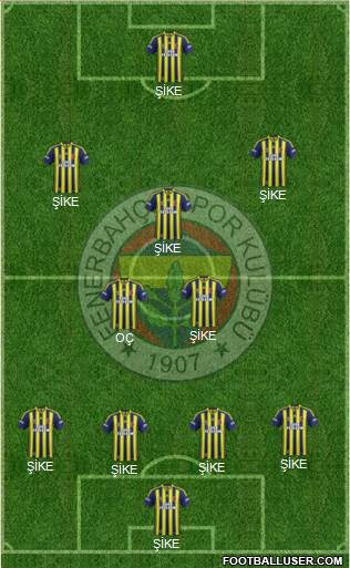 Fenerbahçe SK Formation 2013
