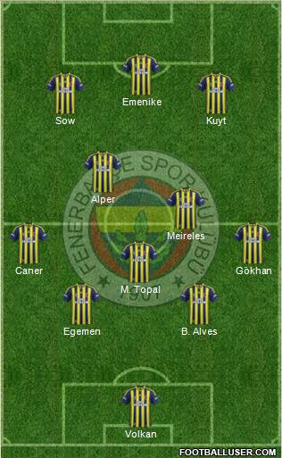 Fenerbahçe SK Formation 2013