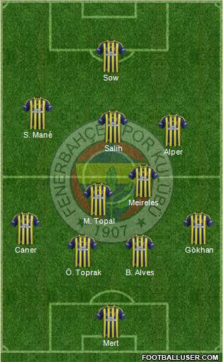 Fenerbahçe SK Formation 2013