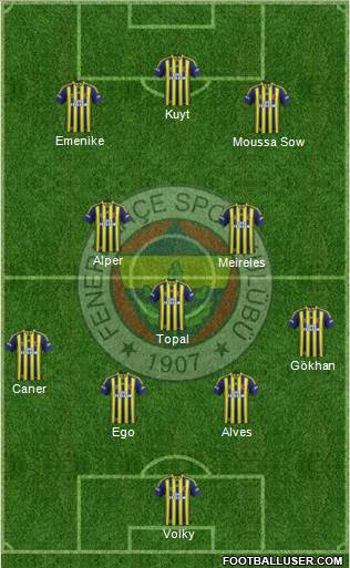 Fenerbahçe SK Formation 2013