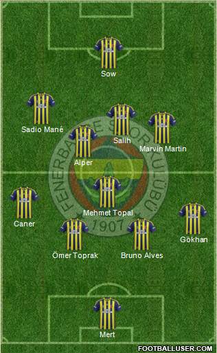 Fenerbahçe SK Formation 2013