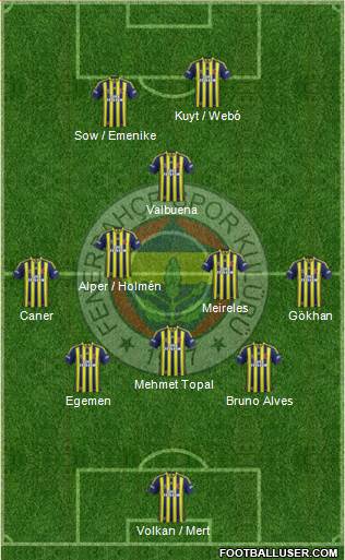 Fenerbahçe SK Formation 2013