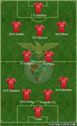 Sport Lisboa e Benfica - SAD Formation 2013