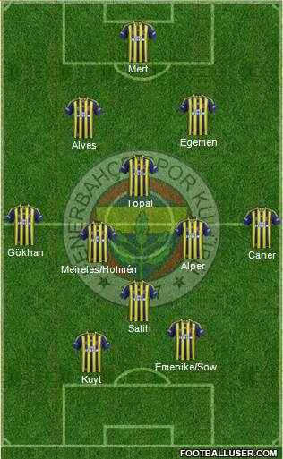 Fenerbahçe SK Formation 2013