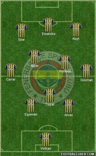 Fenerbahçe SK Formation 2013