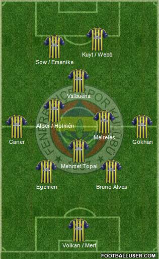 Fenerbahçe SK Formation 2013