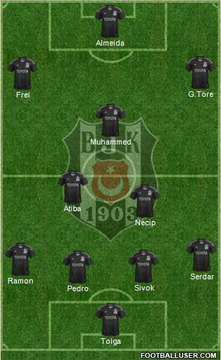 Besiktas JK Formation 2013